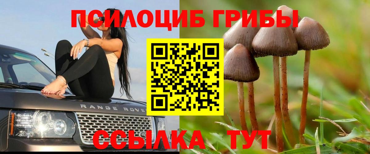 Псилоцибиновые грибы Magic Shrooms  Псилоцибиновые грибы GOLDEN TEACHER  Вход с VPN  Можайск 
